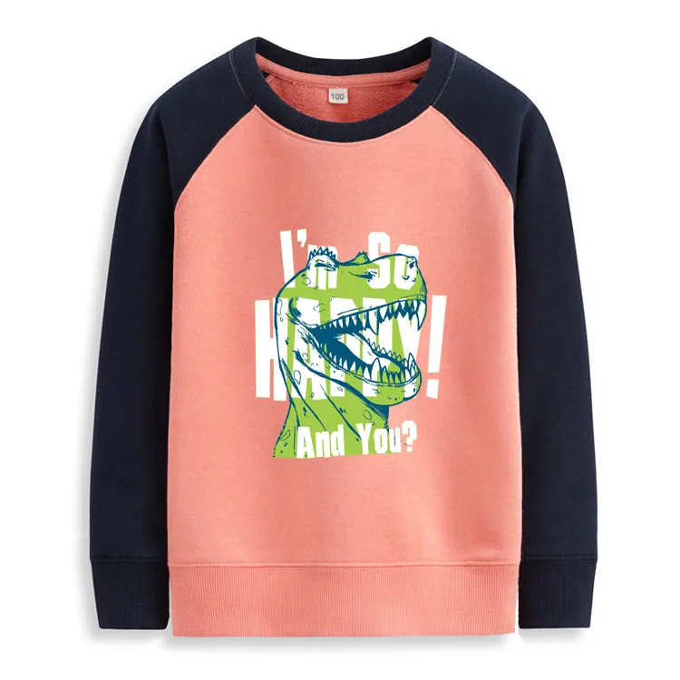 Г. Осенняя детская одежда футболка для мальчиков Плотные хлопковые футболки унисекс с длинными рукавами и принтом для девочек, детская футболка Пуловеры