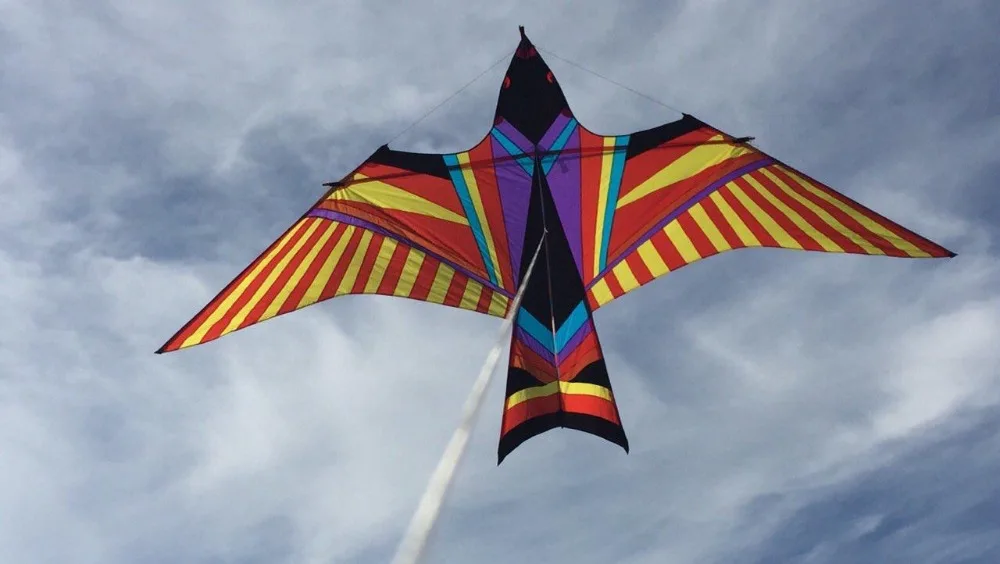Custom Kite 5M Power Animal Kites/ Bird Kite With Handle and Line Good