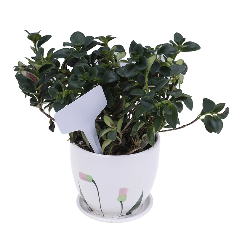 Рисунок 6 - Белые садовые этикетки 100 шт.