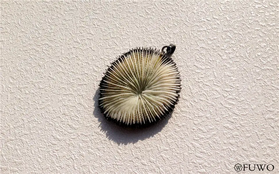 Natural Fossil Coral Pendant 7