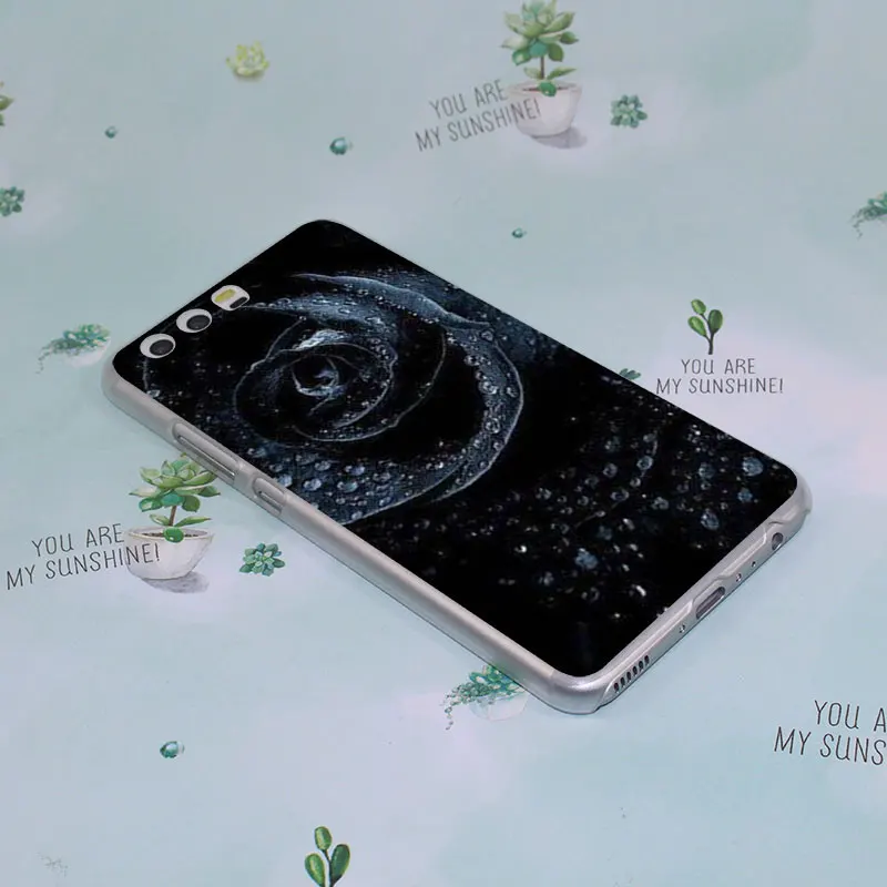 Wallpapers Hd Arctic Monkeys<br/>