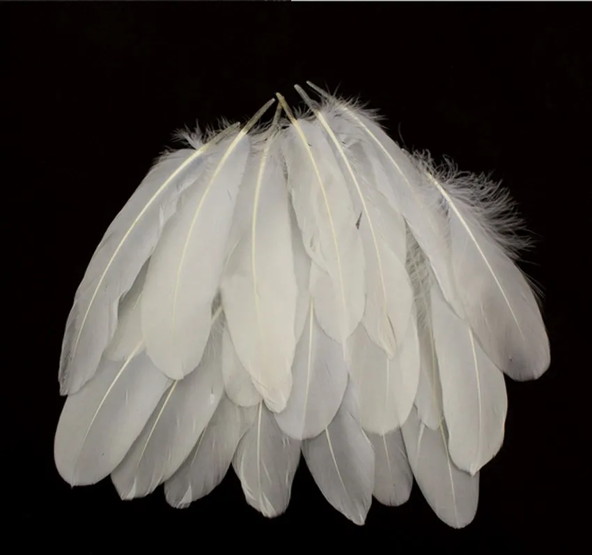 Plumes d'oie blanche - x12 plumes – Jardin des Druides