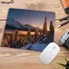 Mairuige Big Promotion Nature Landscape Blue Forest Trees MousePads Computer Gaming Mouse Pad Gamer Play Mats Mousepad 22X18CM ► Photo 3/6
