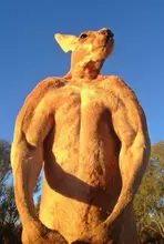 D***i