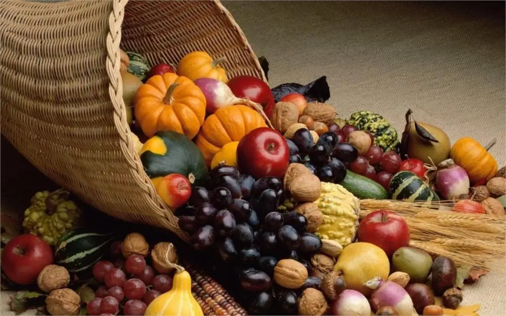 

Modern Rectangle New Food Vegetables Autumn Season Fruits Thanksgiving Cornucopia Home Decor Canvas Poster Print Painting