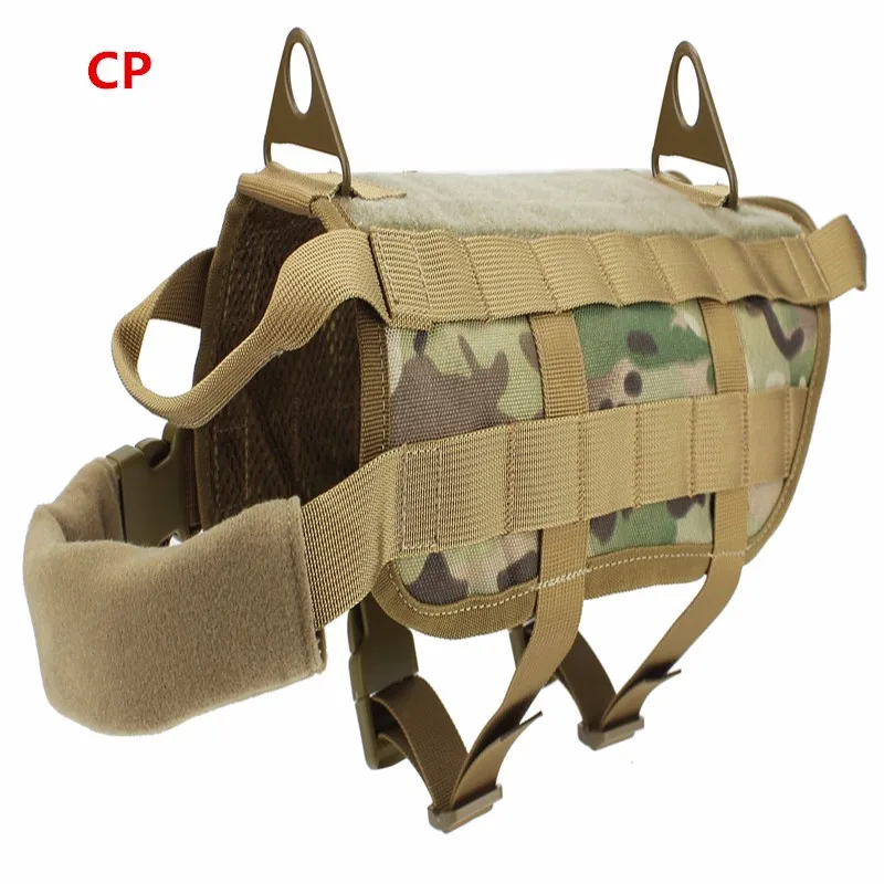 CP