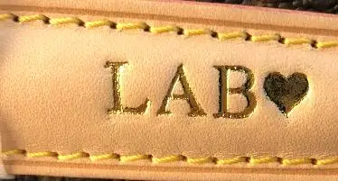 

All style bag with initial add $15