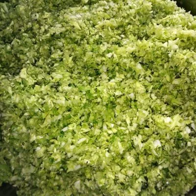 vegetable cutting mincer crusher machine (4)