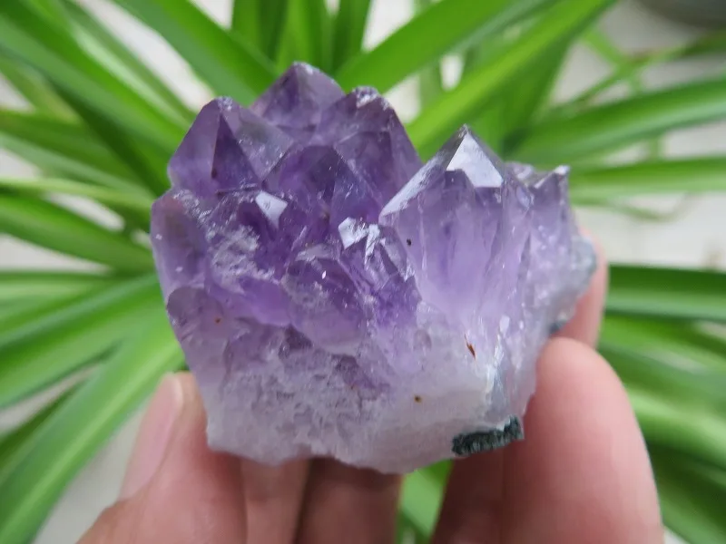 AA Uruguay Natural AMETHYST Flower QUARTZ Crystal GEODE CLUSTER 78g | Дом и сад