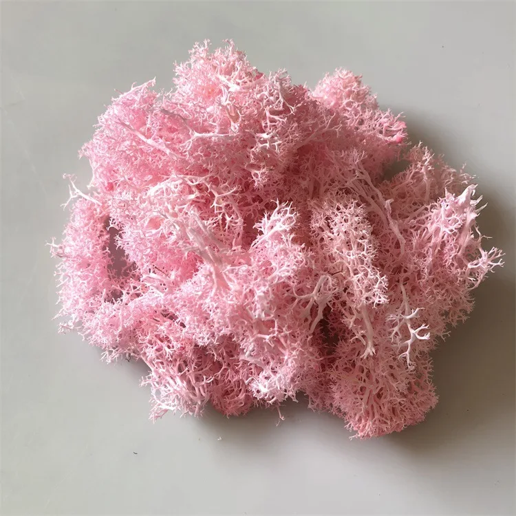 Immortal moss diy flower accessories (10)