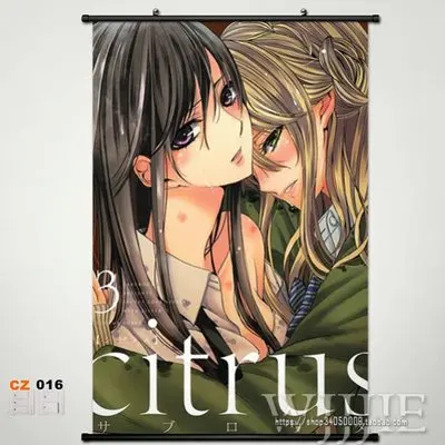 

Anime 60*90 Home Decor Poster Wall Scroll citrus Aihara Mei