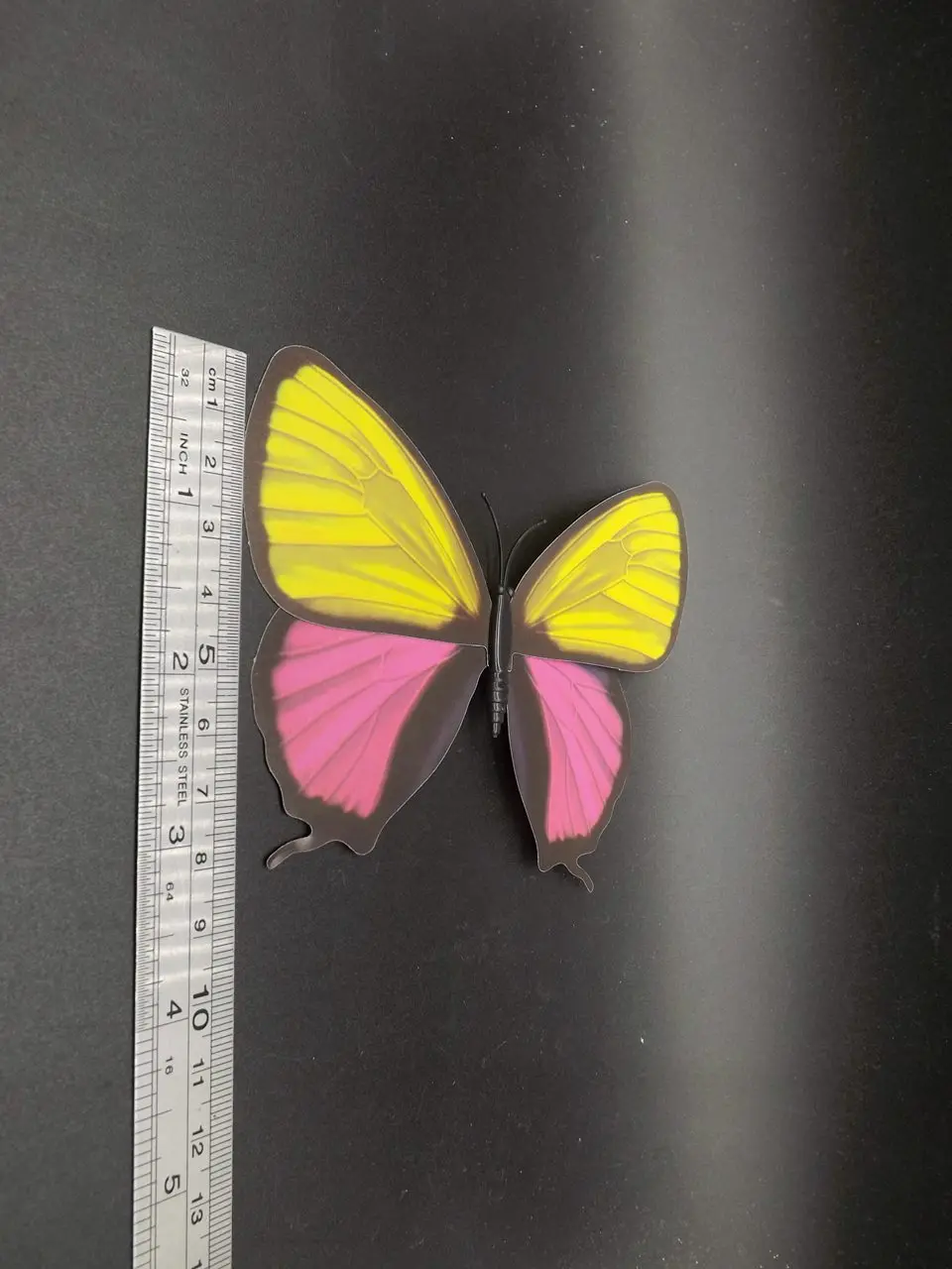 I236-Butterfly (10)