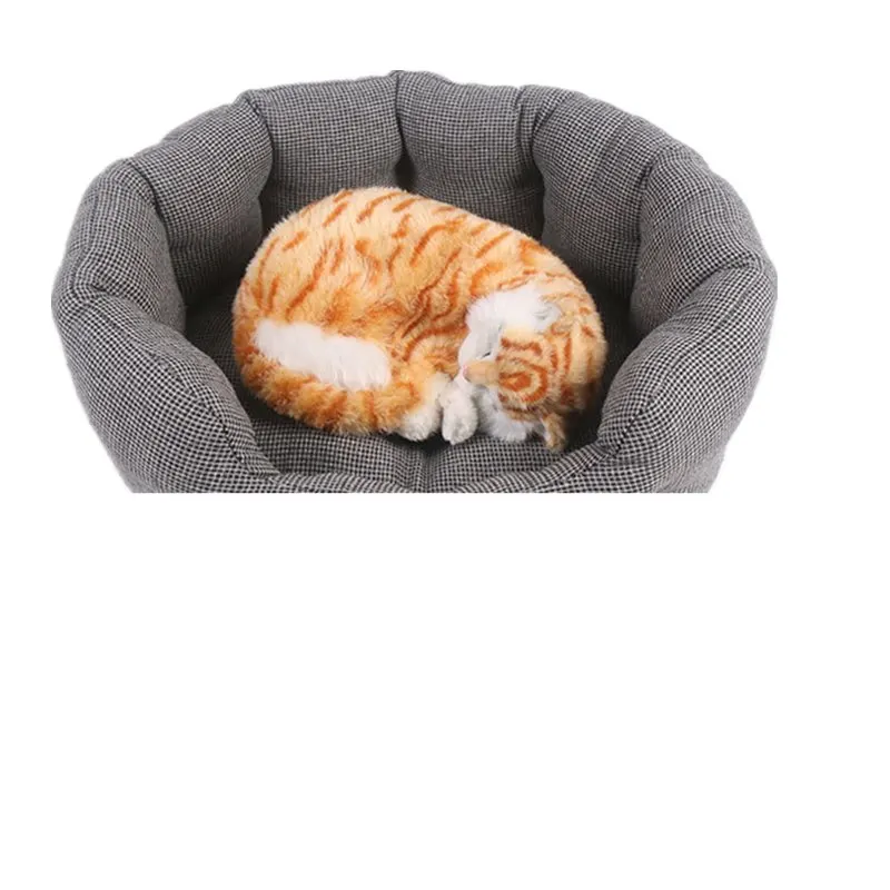 3657632882_176670161_