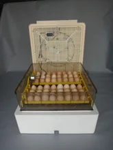 New full automatic Digital 220V poultry egg incubator 96 chicken egg hatching machine