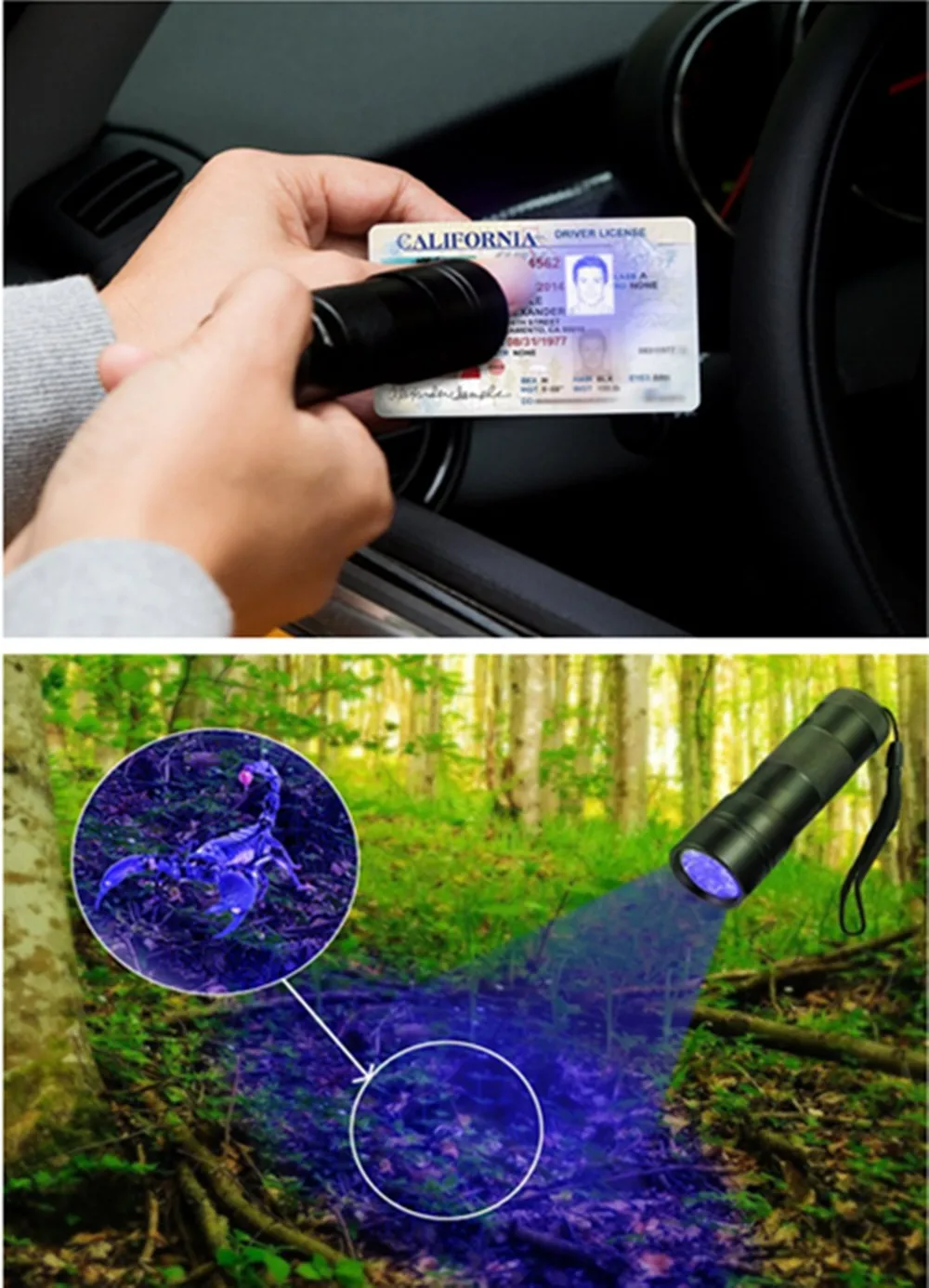 71FMglAblfL__SL1500___