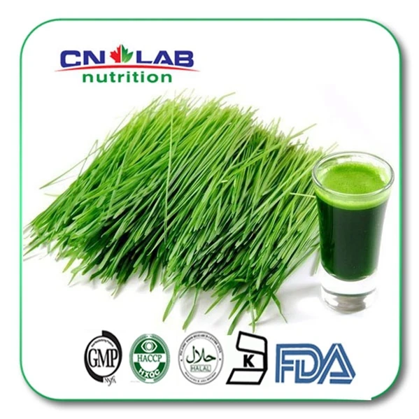 Bulk1kg Quality 100% Organically Farmed Supergreen Wheat Grass Powder for Health Fitness High Fiber Diet