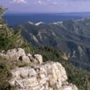 Sandia Mountains  Albuquerque  New Mexico  USA Poster Print (18 x 6)