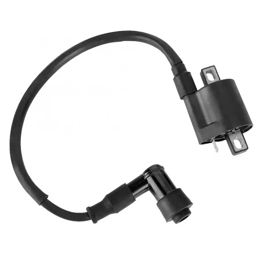 ignition ignitor
