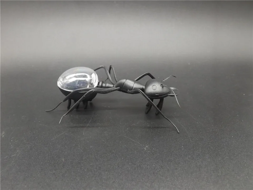 Solar-Ant-Black   (1)