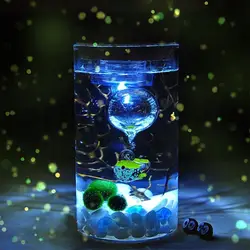 1 шт Портативный Красочный 12 см стеклянная бутылка, банка светодиодный террариумов Желание бутылка ночник для стеклянного аквариума