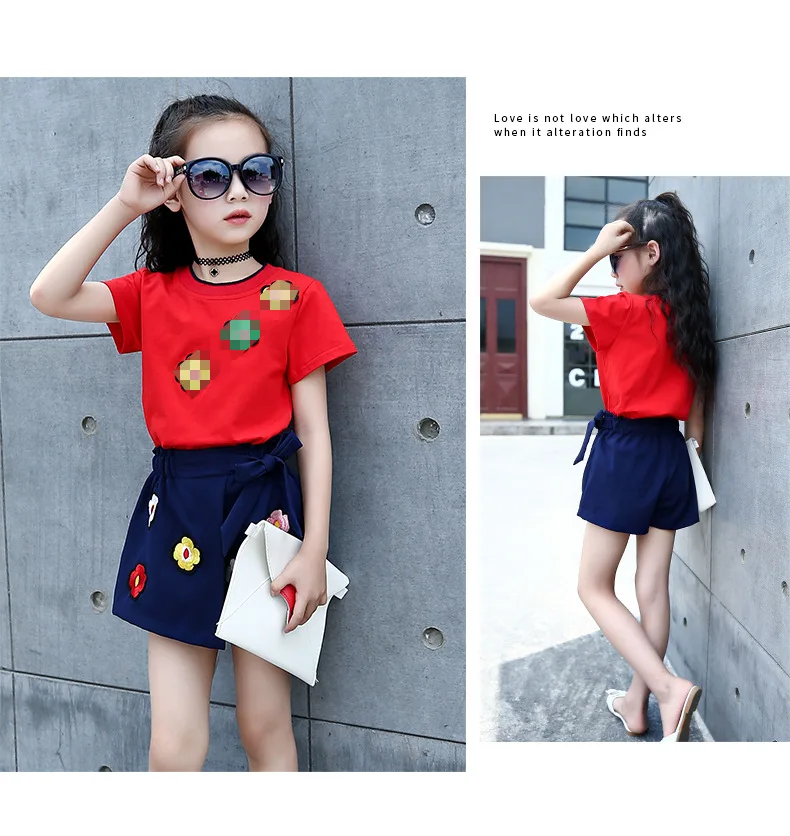 Baby Clothing Sets Girls Children's Cute style 2018 Summer Fashion Flower short sleeve T-shirt and skirt two-piece suit clothes for kids (12)