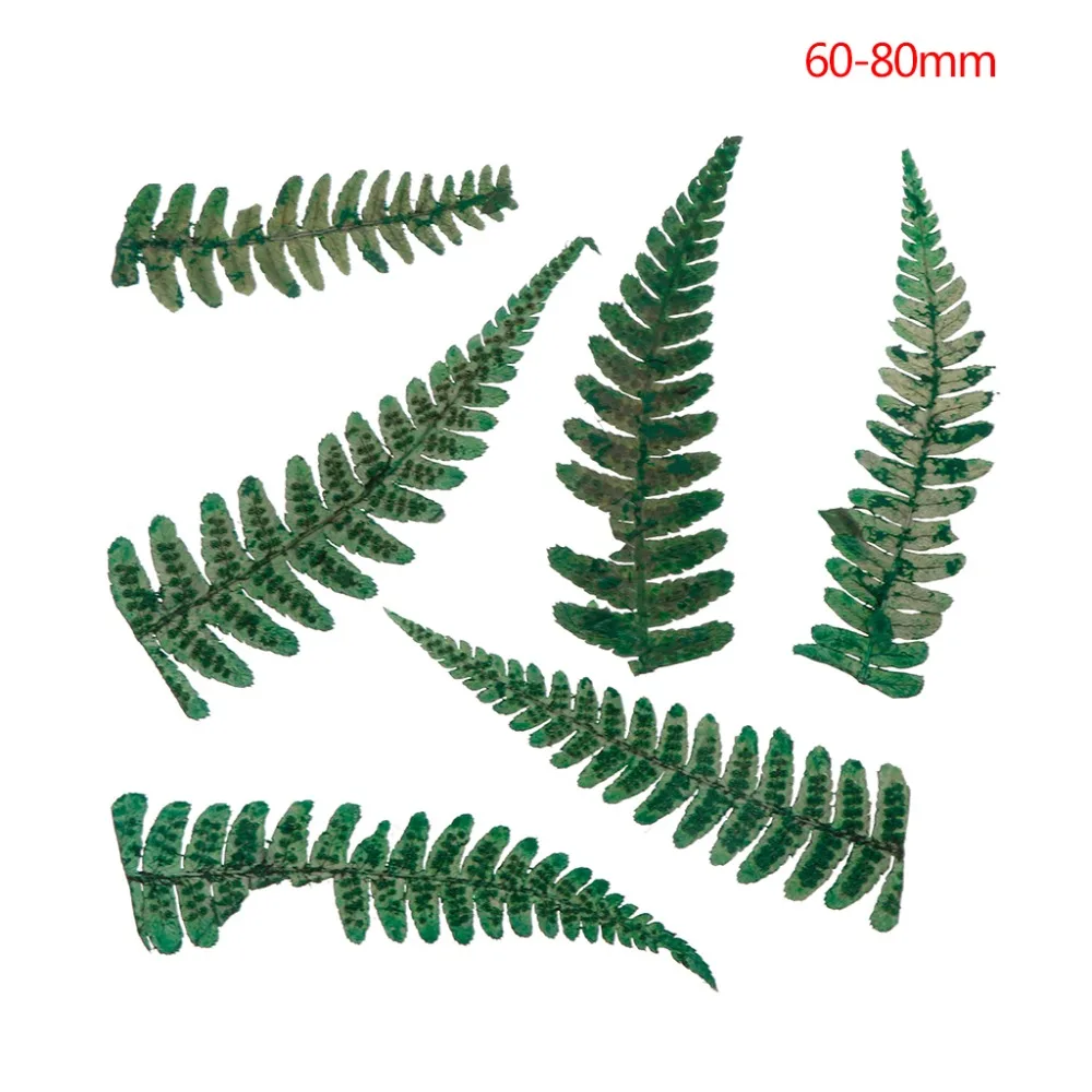 2SS304247-5