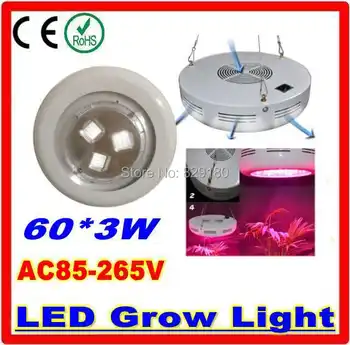 

LED Plant Grow lights 60*3W 180W LED Grow lamp bulb for Flower plant Hydroponics system AC 85V-265V
