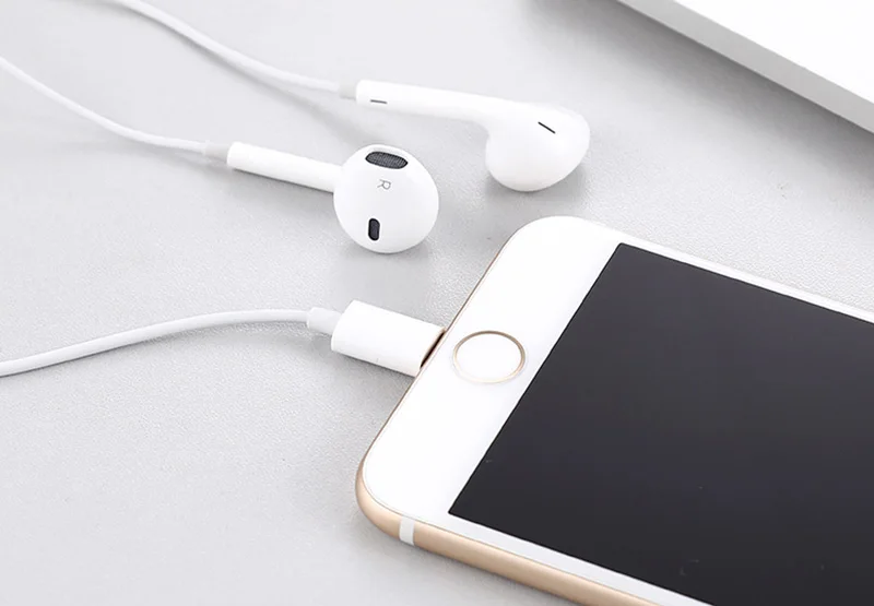 8569426461_577971224