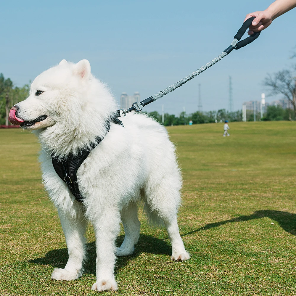 TUFF HOUND товары для домашних животных, удлиненный поводок для собак, Высокоэластичный поводок, нейлоновый поводок для больших собак, безопасный пояс для питомцев