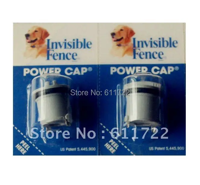 2PACK ORIGINAL For INVISIBLE FENCE COLLAR BATTERY FOR R21 R22 R51 DOG