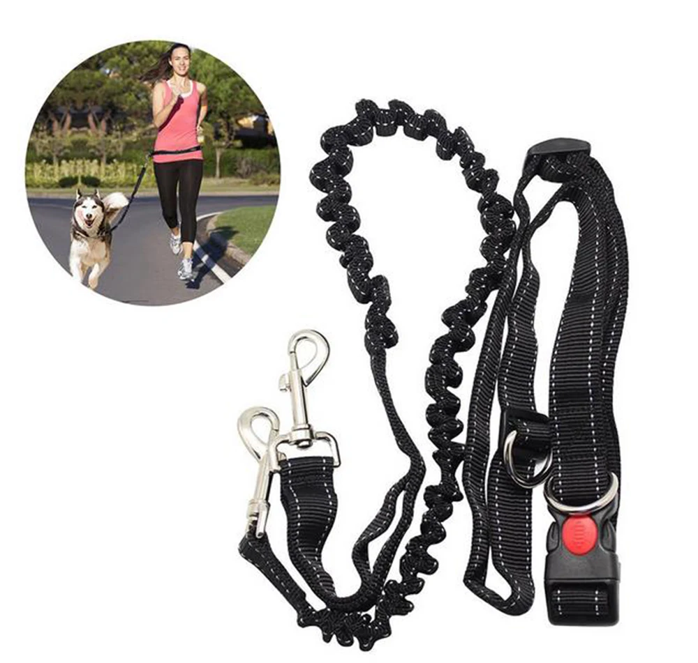 3 pcs/lot Dog Puppy Pet Training/Walking/Running Lead Leash Cord Collar