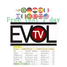 European IPTV subscribes to Italian Arabic, Germany, Spain, USA, XXX Channel 6000 + Channel Android Intelligent IPTV Support M3U