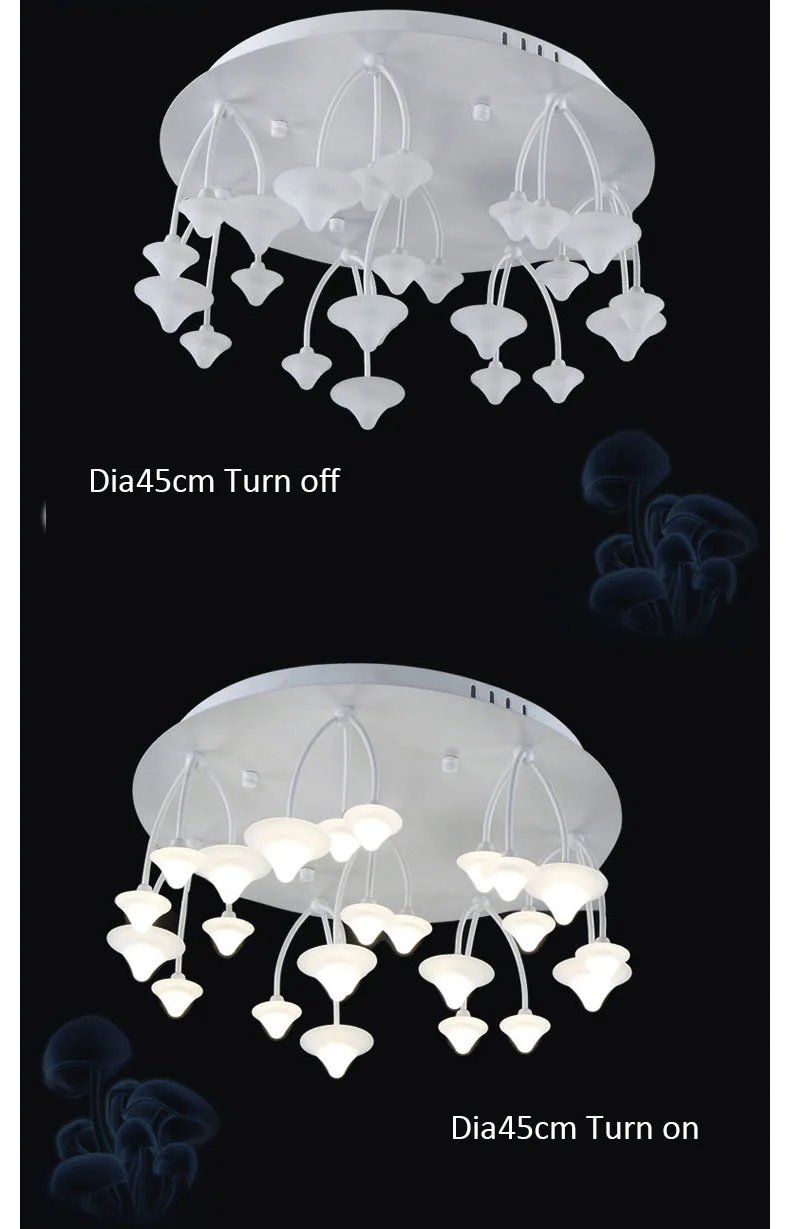 ceiling light 03