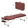 Folding Beauty Bed   Professional Portable Spa Massage Tables Lightweight Foldable with Bag Salon Furniture Aluminum alloy ► Photo 2/6