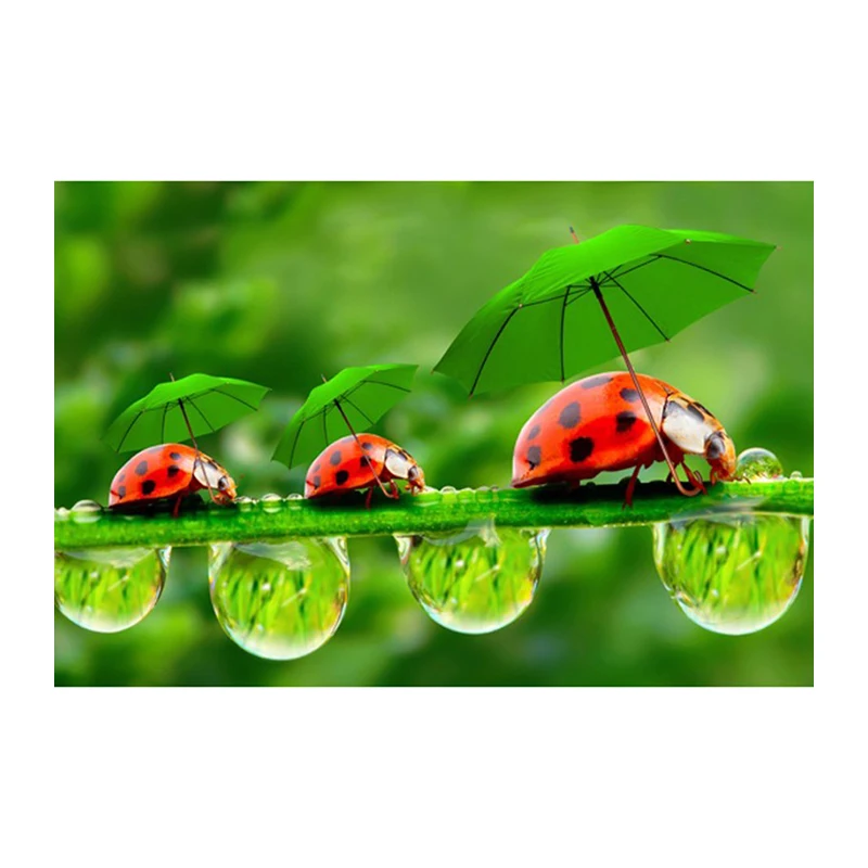 Diamond Embroidery 5D DIY Diamond Painting Ladybug and Green Leaves Diamond Painting Cross Stitch Rhinestone Mosaic 1