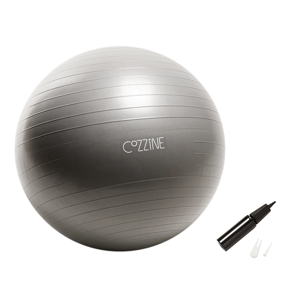 65cm Exercise Fitness Ball Yoga Ball with Hand Pump Exercise Balance Pilate Stability Ball