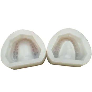

Dental Plaster Model Mold Mould of Edentulous Jaw Complete Cavity Block Dental Supplies 2pc/set