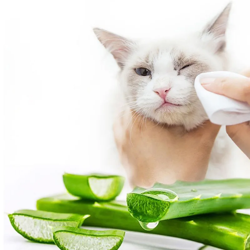 50/100 Pc Pet Cleanig Wipes Natural And Gentle Wipes For Removing Eye
