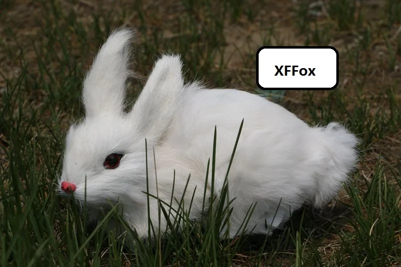 HTB1RKeELpXXXXaNaXXXq6xXFXXXb