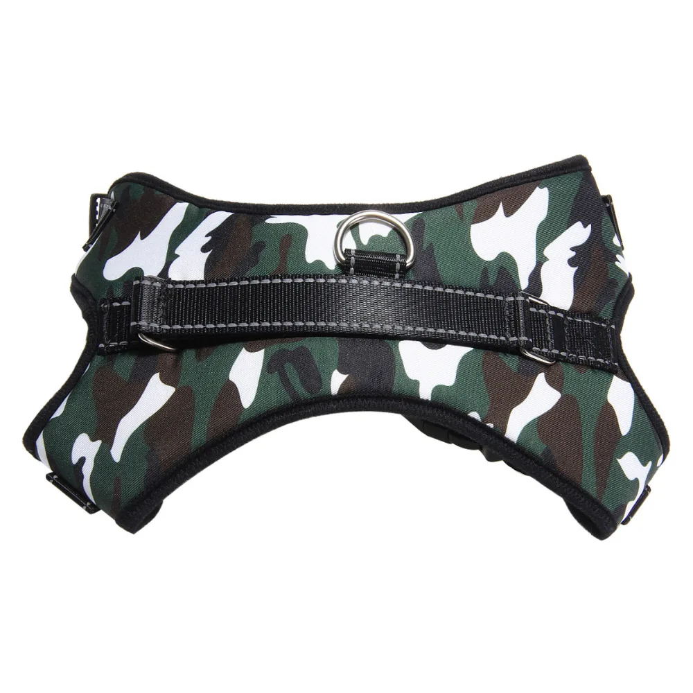 9407905769_2115862900