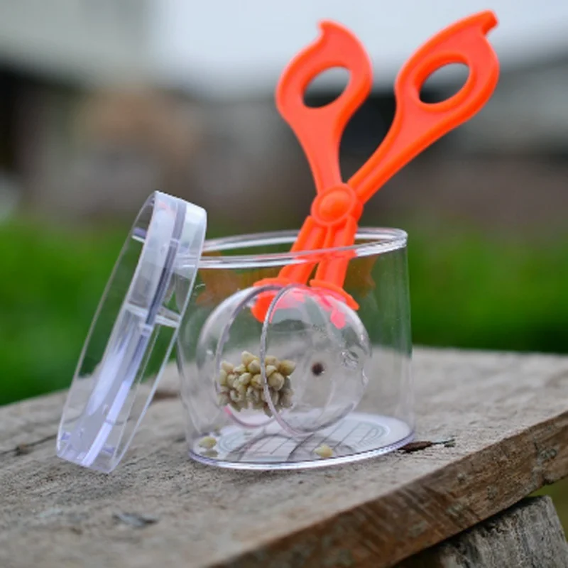 

1 Set Insect Plant Science Exploration Kids Toys for Children Boys Science Experiments Learning Educational Birthday Gift 2019