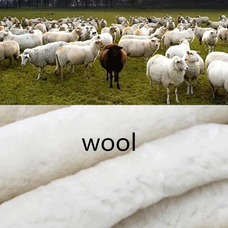 6067