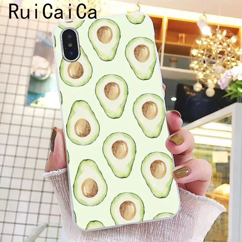 Avocado fruit Cartoon