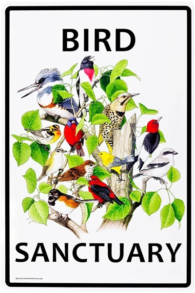 Beware of The Rabbit Plaque Vintage Metal Tin Signs Home Bar Pub Office Decorative Plate Rat Wall Sticker Garden Art Poster MN11 F