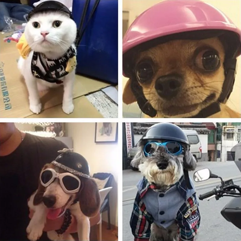 Animal De Compagnie Moto Casque Chapeau Chapeau Chien Chat Costume