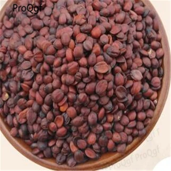 

300Gram A Set Ziziphus jujuba