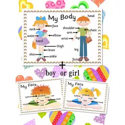 2 шт./компл. тела Запчасти английский A4 флэш-карт обучения Развивающие игрушки для Для детей Монтессори класс украшения