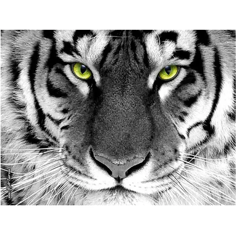 Cute White Tiger Diamond Embroidery Diy Needlework 3d Diamond