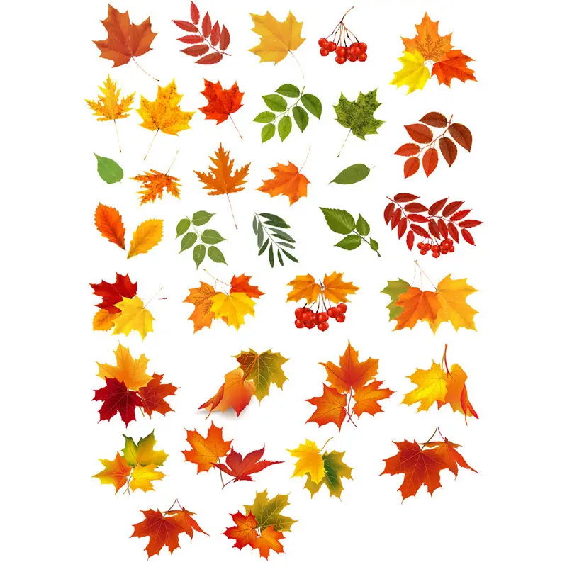 стикеры листочек. наклейки листики. наклейки листья. лист дерева стикер. наклейки растения листья.