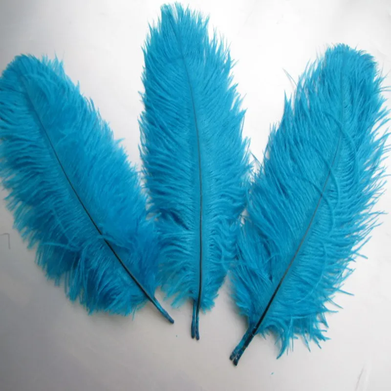 Buy Hot! 10 Pcs / lot feather long 15 20cm 6 8 inch